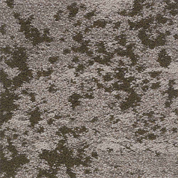 Mohawk Lichen Community - Macro Bloom - 675