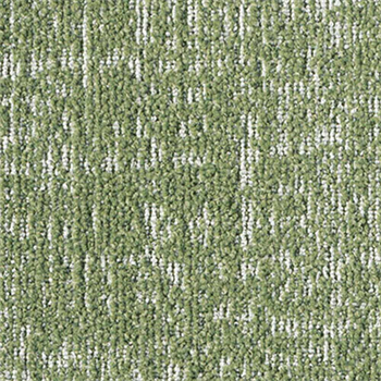 Milliken Glasshouse - KEW202 Succulent