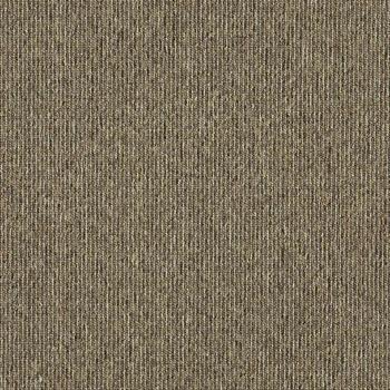 Interface Elevation III - Brocatello