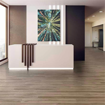 Tarkett Inspiration Contemporary Oak Brown 24231112