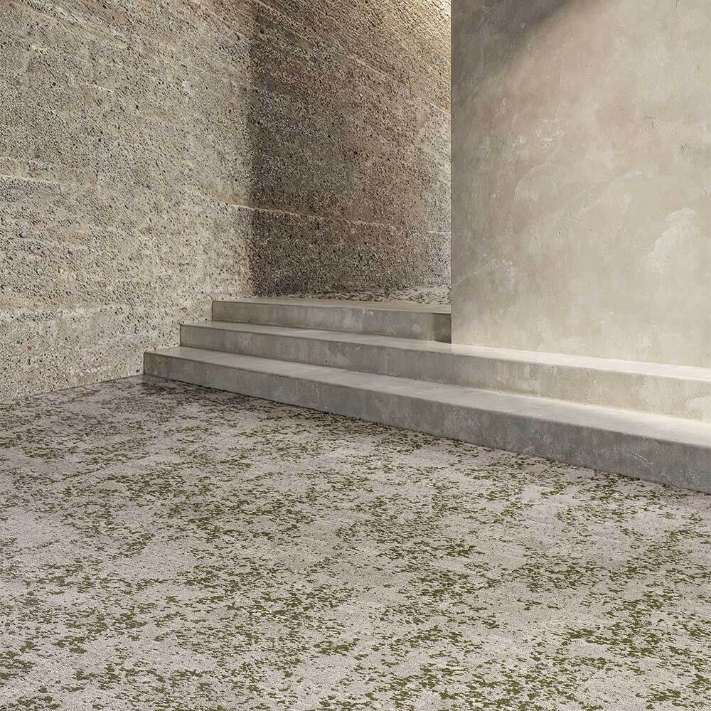 Mohawk Lichen Community - Macro Bloom