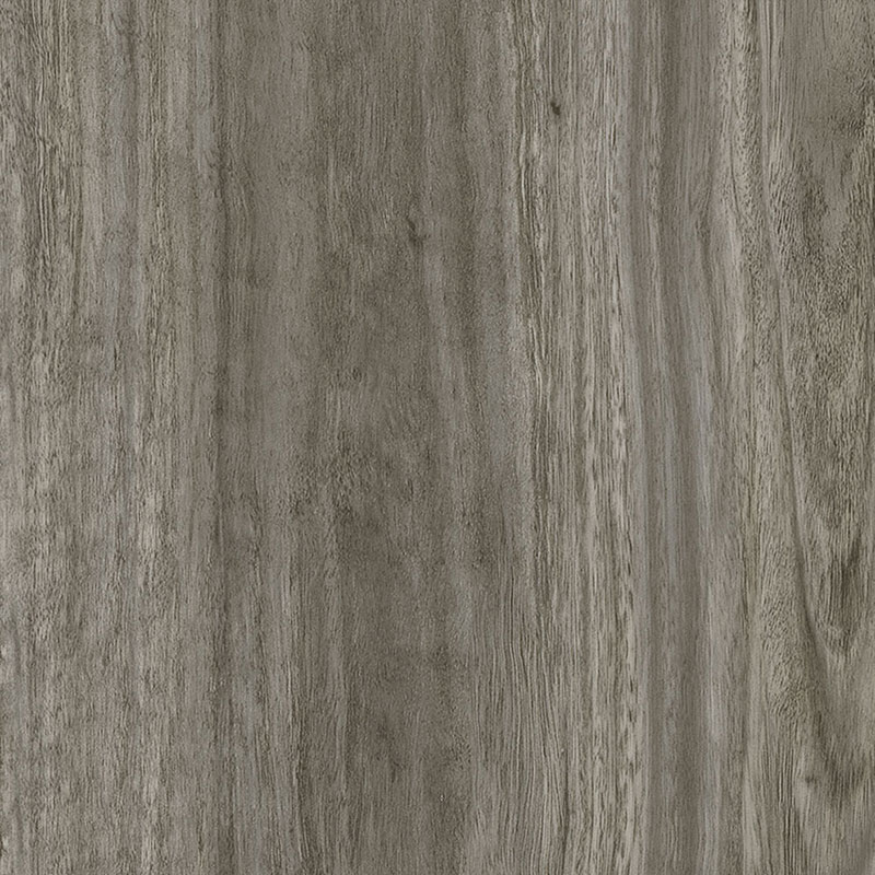 Milliken Wood Eucalyptus Saligna Euc122 DCTUK