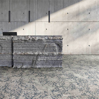 Mohawk Lichen Community - Macro Bloom