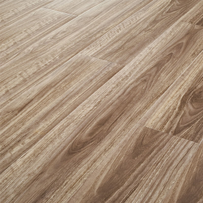 Milliken Wood Eucalyptus Saligna Euc208 DCTUK