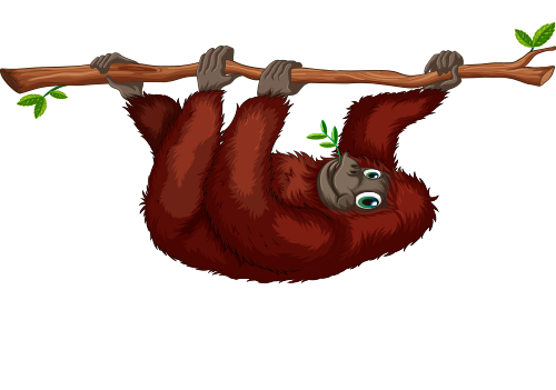 How can we save orangutans?