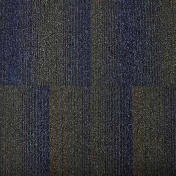 Paragon Diversity Groove - Jaxx