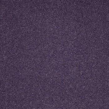 Paragon Workspace Cut Pile - Lilac