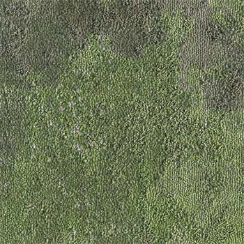 Milliken Painted Garden - Lawn PGN230-141