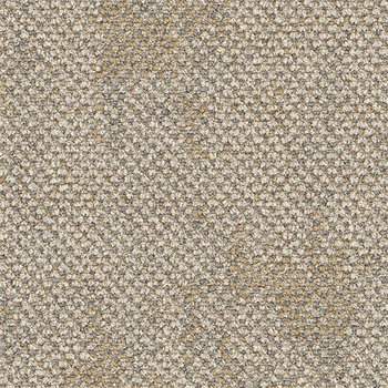 Interface Upon Common Ground Dry Bark Carpet Planks - 2529007 Freshwater Neutral