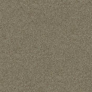 Interface Polichrome Stipple - Hazel 4265021