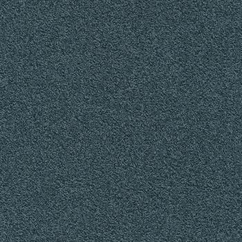 Modulyss Millennium Nxtgen - 555