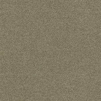 Interface Polichrome Stipple - Hemp 4265007