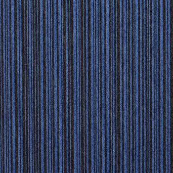 Paragon Codec - Digital