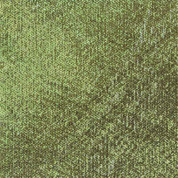 Milliken Coastline Landscape - Kelp LND103-62