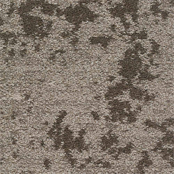 Mohawk Lichen Community - Macro Bloom - 975