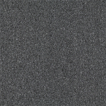 Nouveau Basics Plus - Graphite Grain