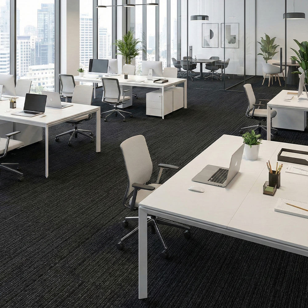 Nouveau Connections 2.0 Lines