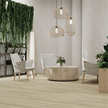 Balsan Elite Gluedown 55 - Jive Natural