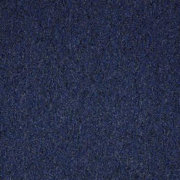 Paragon Workspace Loop -  Midnight