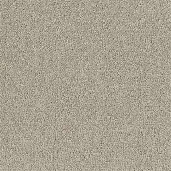 Desso Palatino - 1321