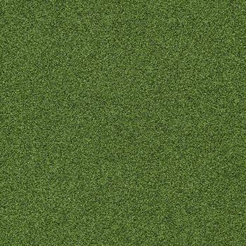 Interface Polichrome Stipple - Cactus 4265016