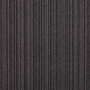 Paragon Codec - Axis