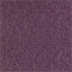 Nouveau Evolution Purple