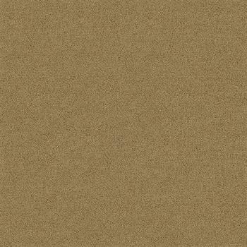 Interface Polichrome Solid - Marzipan 4266021