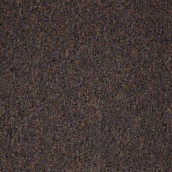 Paragon Workspace Loop - Sepia