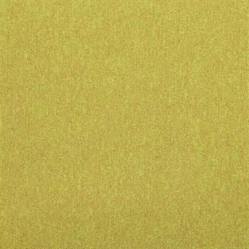 Paragon Codec Accent - Pathway