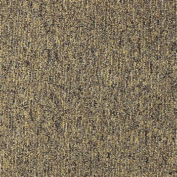 Paragon Vital - 1193 Oxide