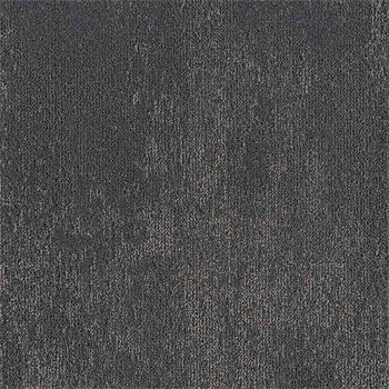 Milliken Tracing Landscapes - Geography Lessons - Sheltered Bay GLN 79