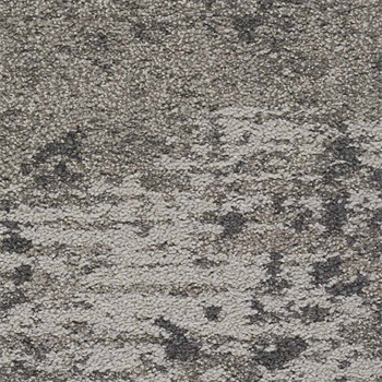 Mohawk Lichen Community - Micro Bloom - 911