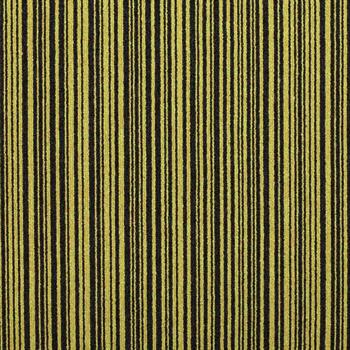 Paragon Codec - Pathway