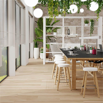 Balsan Elite Looselay Acoustic 55 - Oulanka Isba