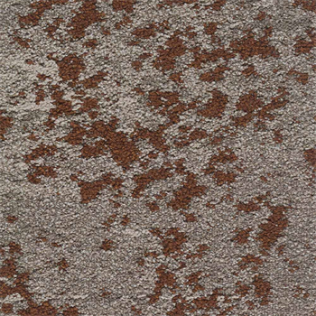 Mohawk Lichen Community - Macro Bloom - 375