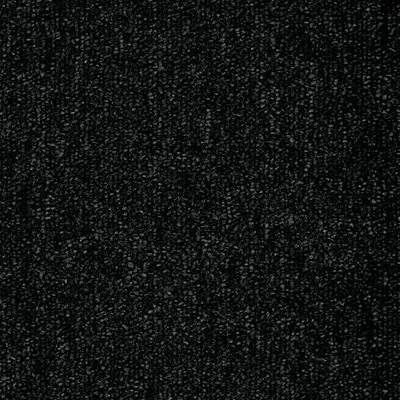 Dog running on carpet with muddy paw prints