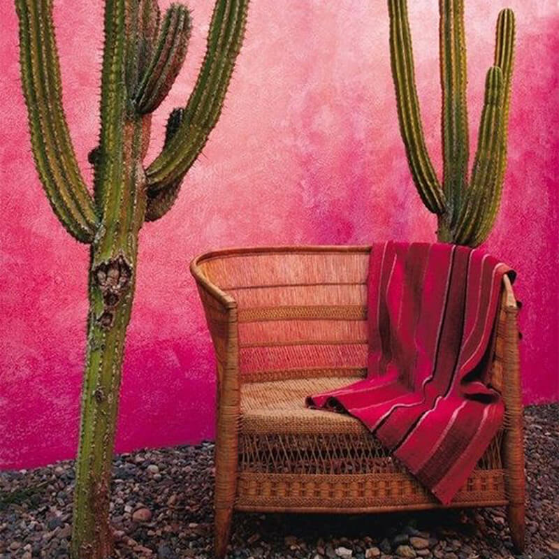 Add image description here