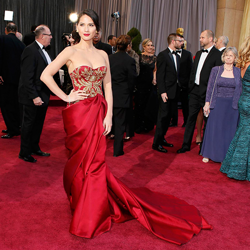 Celebrity on Oscars red carpet 2016