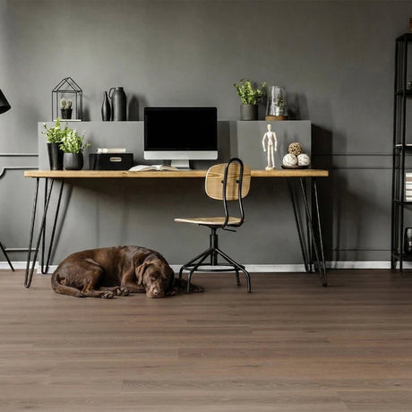 Tarkett Essence 30 Gluedown Tribe Oak Mocha 260055009