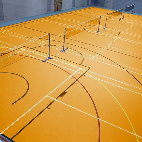 Sport & gym linoleum - DCTUK