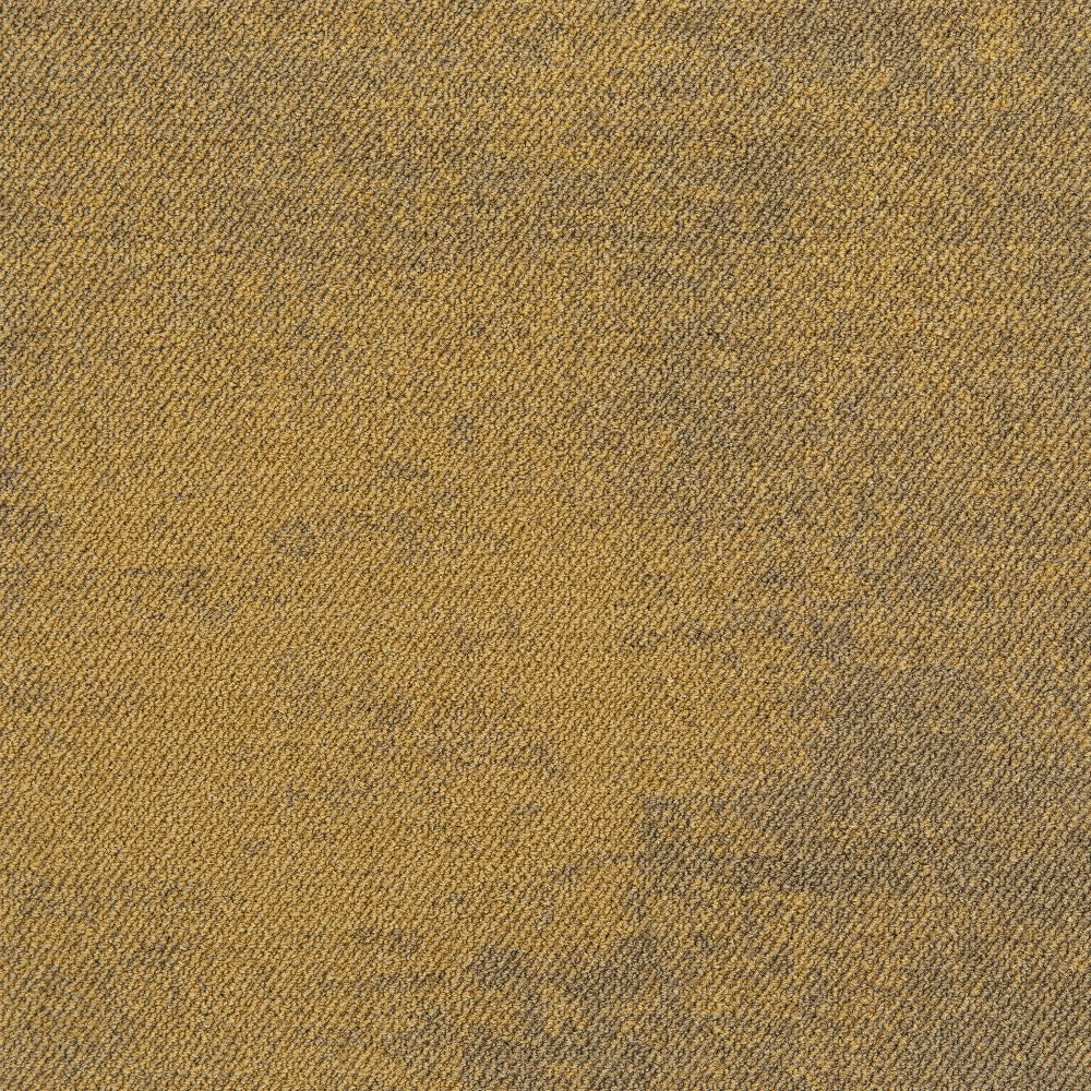 08_224_LP_50x50_C