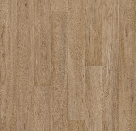 185298_6525 Forbo Novilon Viva (2m width)