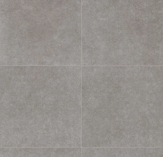 226825_5631 Forbo Novilon Viva (2m width)