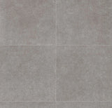 226825_5631 Forbo Novilon Viva (2m width)