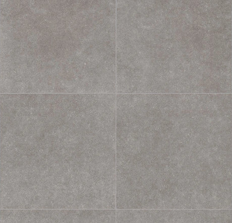 226825_5631 Forbo Novilon Viva (2m width)