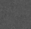 226837_5602 Forbo Novilon Viva (2m width)