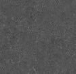 226837_5602 Forbo Novilon Viva (2m width)