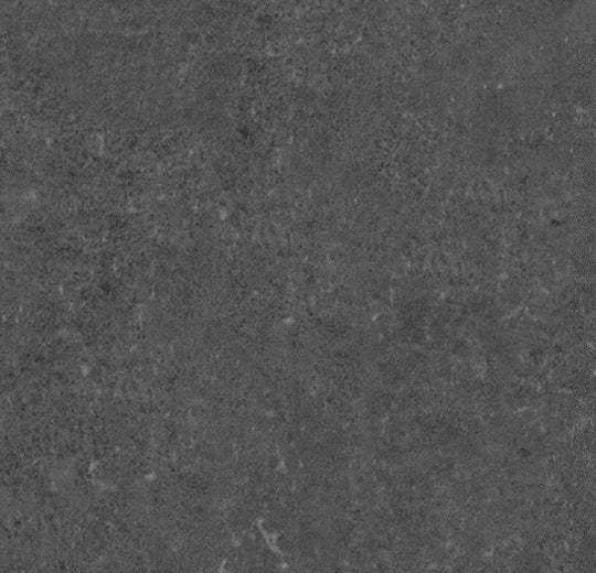 226837_5602 Forbo Novilon Viva (2m width)