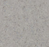 226840_5619 Forbo Novilon Viva (2m width)